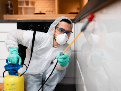 About Charlton Bed Bug Heat Treatment - bed bug heat treatment experts in Charlton