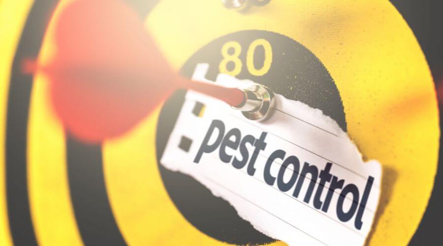 Professional bed bug heat treatment services in Charlton - Charlton Bed Bug Heat Treatment