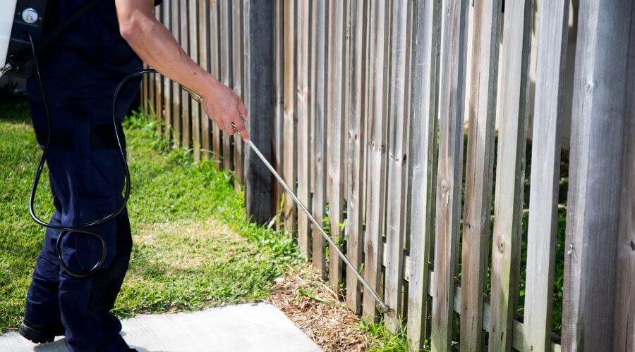 Why choose Charlton Bed Bug Heat Treatment for bed bug heat treatment in Charlton